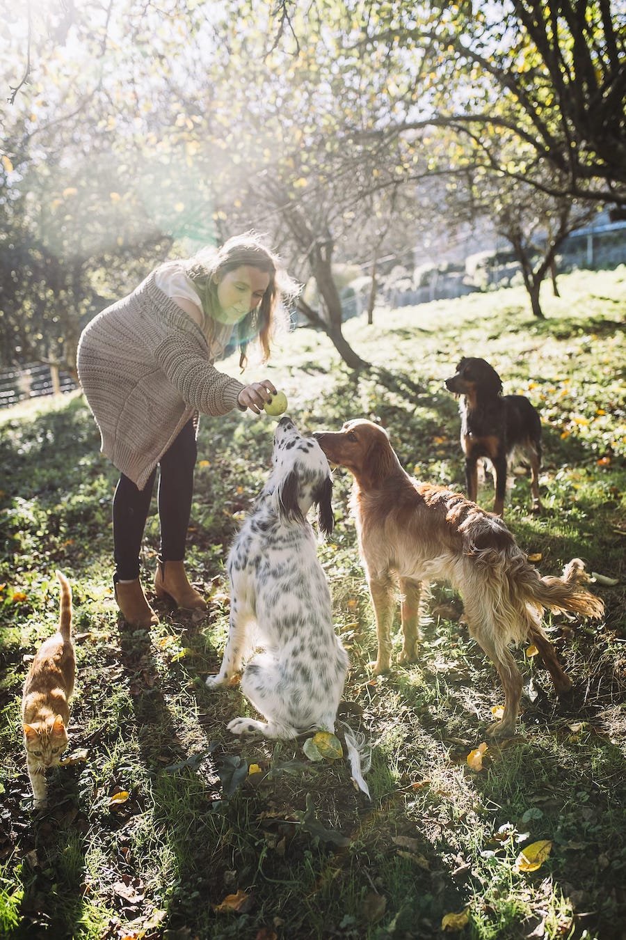 Fotografía profesional de la dueña de una casa rural con sus mascotas