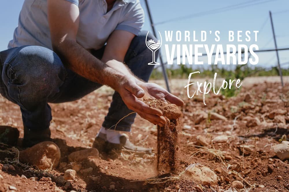 world's best vineyards explore persona cogiendo tierra en un viñedo vídeo profesional